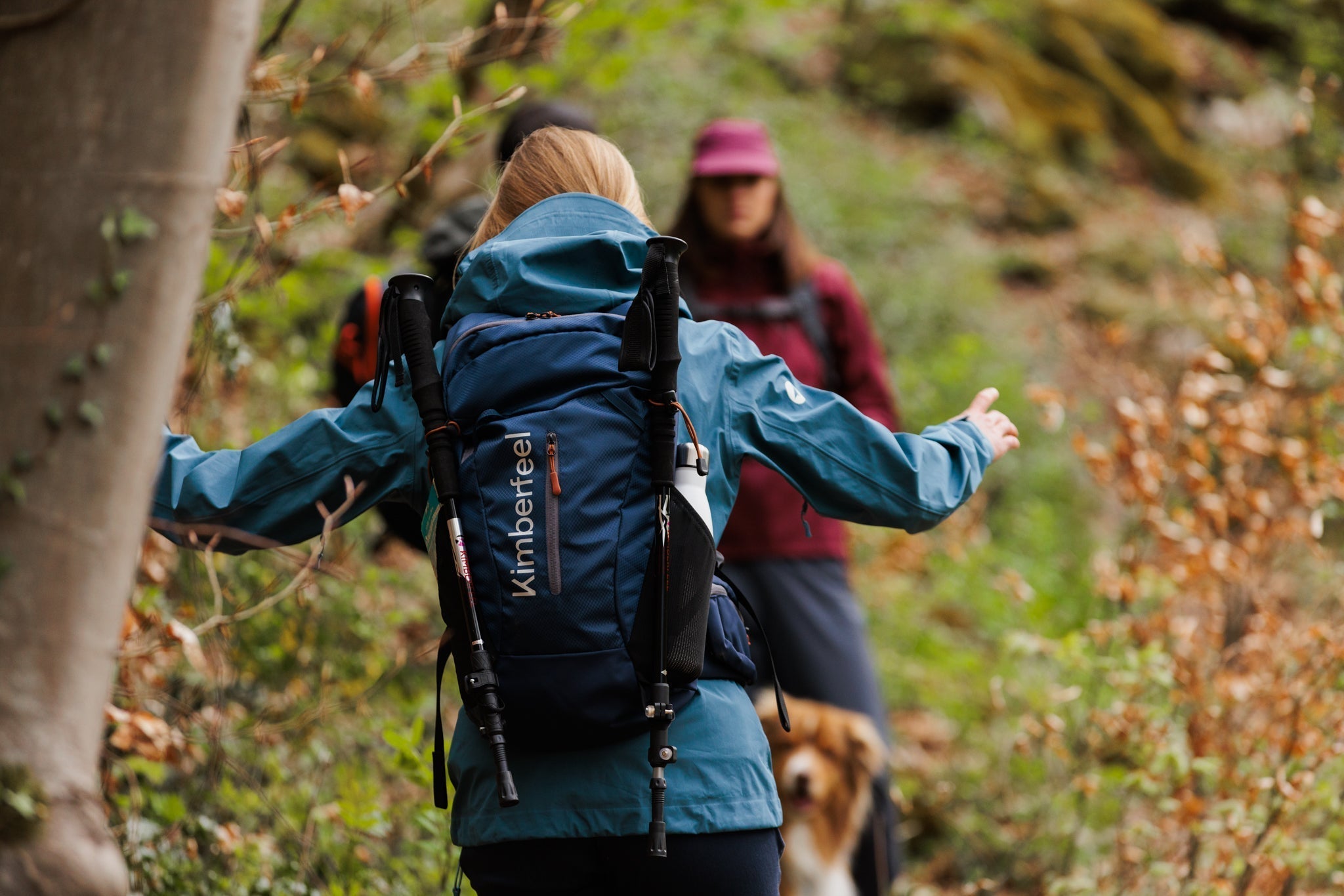 Randonneurs de dos dans la forêt portant des sacs à dos de randonnée Kimberfeel