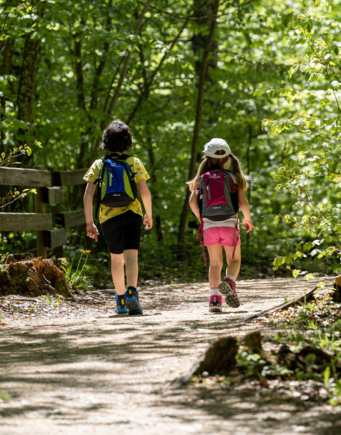Enfants de dos dans la forêt en tenue de randonnée avec sac à dos