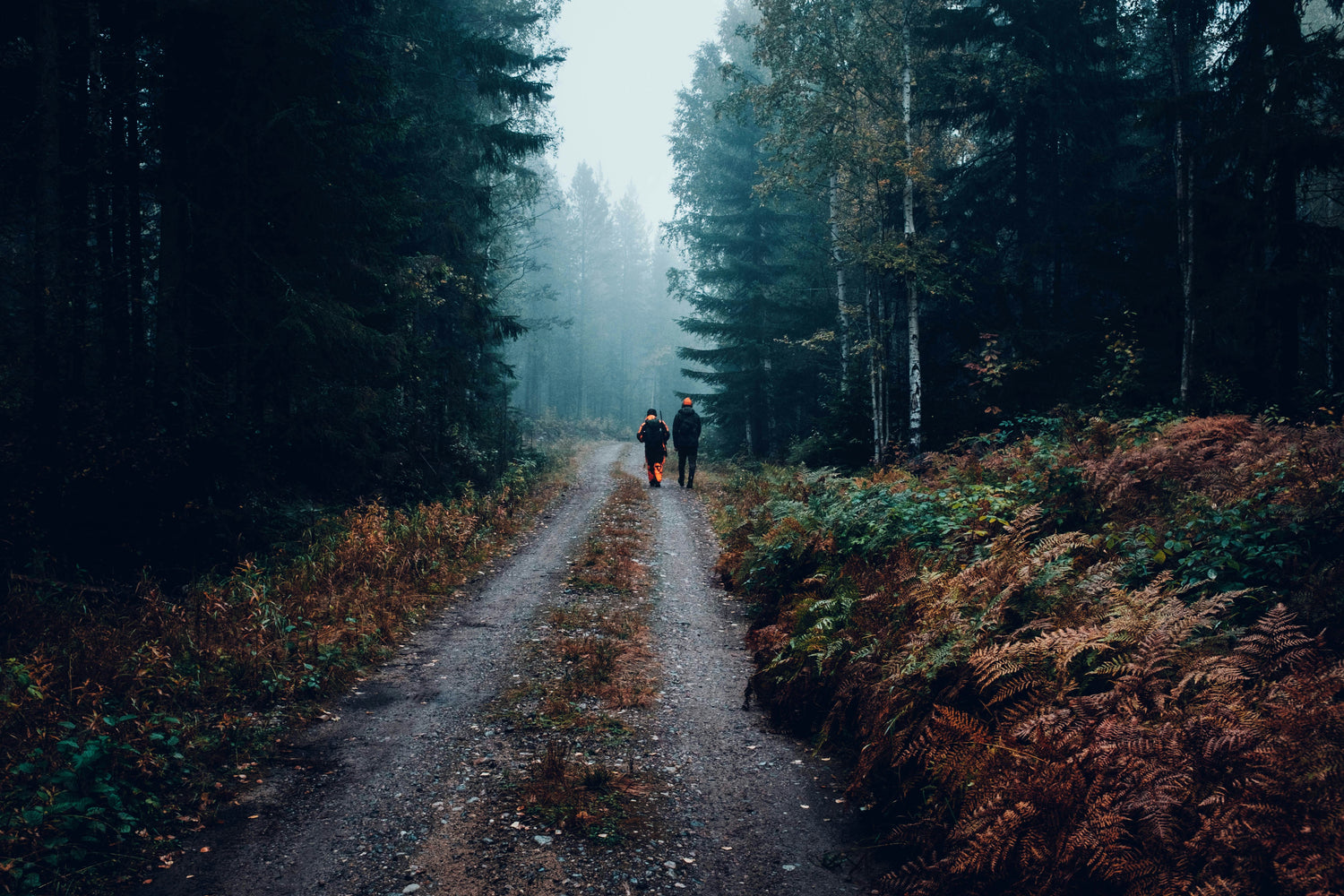 Randonnée et chasse : nos conseils pour profiter de la nature en toute sécurité